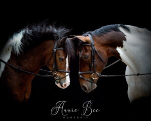 The Horses You Love