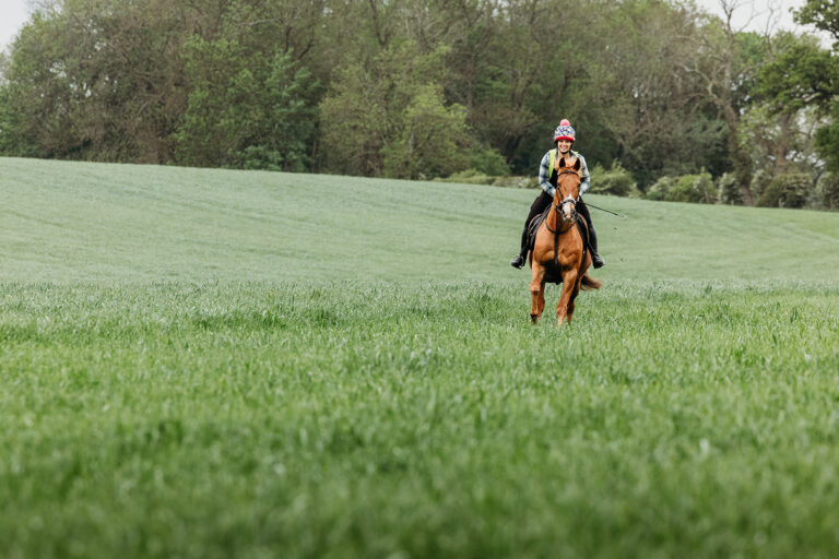 HORSE & RIDER SESSIONS : WHY YOU NEED YOUR PHOTOGRAPHER TO MEET YOU AT YOUR YARD